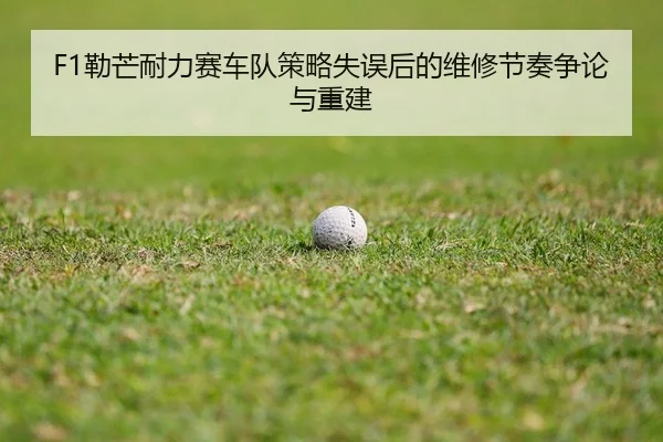lei-mang-nai-li-sai-che-dui-ce-lve-shi-wu-hou-de-wei-xiu-jie-zou-zheng-lun-yu-chong-jian-2-542.jpg